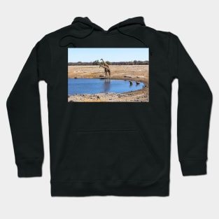 Giraffes and Hyenas at the Water Hole - Etosha, Namibia Hoodie